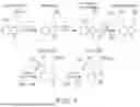 Fig. 04 - PSILOCYBE ASSAY