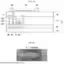 Fig. 06 - PRECURSOR COMPOSITION FOR THIN FILM DEPOSITION, METHOD FOR MANUFACTURING THIN FILM AND THIN FILM MANUFACTURED USING THE SAME, AND ELECTRONIC DEVICE COMPRISING THIN FILM