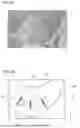 Fig. 06 - INORGANIC STRUCTURE AND METHOD FOR MANUFACTURING INORGANIC STRUCTURE