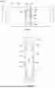 Fig. 04 - MEASURING INFLATABLE PACKER EXPANSION AND WELLBORE DEFORMATION