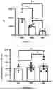 Fig. 06 - METHODS OF DIAGNOSING ACUTE CIRCULATORY FAILURE