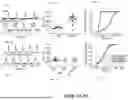 Fig. 08 - Human In Vitro Cardiotoxicity Model