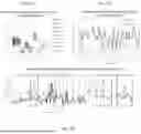Fig. 04 - DEVICE, METHOD AND SYSTEM FOR DIAGNOSING, MONITORING AND PREDICTING CHRONIC HEALTH CONDITIONS THROUGH URINE BIOMARKERS