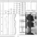 Fig. 02 - OIL-WATER IDENTIFICATION METHOD BASED ON CONDUCTIVITY DISPERSION CHARACTERISTICS OF UNDISTURBED FORMATION