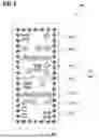 Fig. 02 - AUTHENTICATION APPARATUS, AUTHENTICATION APPARATUS ARRANGEMENT, AND AUTHENTICATION DEVICE