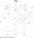 Fig. 02 - Method and System for Optically Tracking Moving Objects