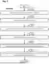 Fig. 02 - Systems and Methods for Spatial Alignment of Cellular Specimens and Applications Thereof
