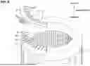 Fig. 07 - STATOR AND METHOD FOR MANUFACTURING STATOR