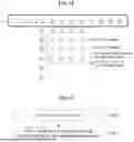 Fig. 12 - IMAGE ENCODING/DECODING METHOD AND RECORDING MEDIUM STORING BITSTREAM