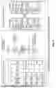 Fig. 07 - NETWORK INTERWORKING SYSTEMS AND METHODS