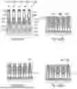 Fig. 07 - METHOD FOR FORMING A SOURCE/DRAIN CONTACT