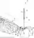 Fig. 01 - TELEMETRY TRIAL FOR DIGITAL IMPLANT