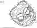 Fig. 06 - FACE MASKS WITH THERAPEUTIC COOLING