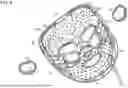 Fig. 07 - FACE MASKS WITH THERAPEUTIC COOLING