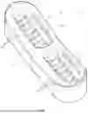 Fig. 02 - REMOVABLE HOLDER WITH CONTROLLED MOVABLE MASSAGE MODULE FOR MASSAGE DEVICE WITH CARRIER ELEMENT