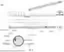Fig. 13 - Multifunction Newborn Gavage Tube