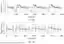 Fig. 33 - Multifunction Newborn Gavage Tube