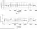 Fig. 34 - Multifunction Newborn Gavage Tube