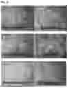 Fig. 02 - COSMETIC USES OF A HYDROLYSATE OF AN EXTRACTION COPRODUCT OF THE MICROALGAE PHAEODACTYLUM TRICORNUTUM