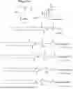 Fig. 01 - Lipid Nanoparticles Comprising Nucleic Acids Encoding Therapeutic Genes and Uses in Medical Methods