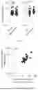 Fig. 04 - Lipid Nanoparticles Comprising Nucleic Acids Encoding Therapeutic Genes and Uses in Medical Methods