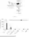 Fig. 16 - Lipid Nanoparticles Comprising Nucleic Acids Encoding Therapeutic Genes and Uses in Medical Methods