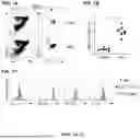 Fig. 02 - METHODS FOR IMPROVING COGNITIVE FUNCTION