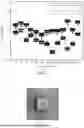 Fig. 03 - METHOD FOR INTERNAL AND EXTERNAL COLLABORATIVE INTEGRATED PROTECTION OF CONCRETE