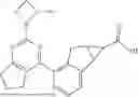 Fig. 493 - KHK INHIBITORS