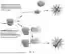 Fig. 28 - RNA AND DNA BASE EDITING VIA ENGINEERED ADAR RECRUITMENT