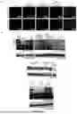 Fig. 45 - RNA AND DNA BASE EDITING VIA ENGINEERED ADAR RECRUITMENT
