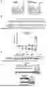 Fig. 46 - RNA AND DNA BASE EDITING VIA ENGINEERED ADAR RECRUITMENT