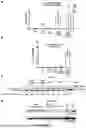 Fig. 49 - RNA AND DNA BASE EDITING VIA ENGINEERED ADAR RECRUITMENT