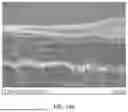 Fig. 197 - Silk Performance Apparel and Products and Methods of Preparing the Same