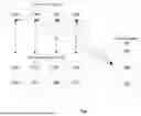 Fig. 02 - Collaborative Multilevel Erasure Coding for Maximizing Durability and Performance of Storage Systems