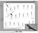 Fig. 11 - IMAGING ARRAY FOR BIRD OR BAT DETECTION AND IDENTIFICATION
