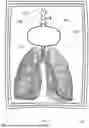 Fig. 06 - APPARATUS FOR TISSUE TRANSPORT AND PRESERVATION