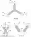 Fig. 04 - METHODS FOR PROTECTING ANATOMICAL STRUCTURES FROM RESECTION AND DEVICES THEREOF