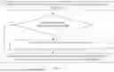 Fig. 16 - METHODS FOR PROTECTING ANATOMICAL STRUCTURES FROM RESECTION AND DEVICES THEREOF