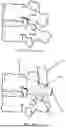 Fig. 07 - HIGH-PROFILE, ANATOMY-SPECIFIC IMPLANTS FOR COMBINED HARD AND SOFT TISSUE RECONSTRUCTION WITH EMBEDDED TECHNOLOGY FOR MEDICINE DELIVERY