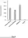 Fig. 09 - DELIVERY SYSTEM COMPRISING SILICON NANOPARTICLES
