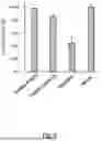 Fig. 10 - DELIVERY SYSTEM COMPRISING SILICON NANOPARTICLES