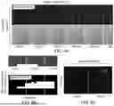Fig. 06 - COMPOSITIONS AND METHODS FOR MODULATING CHOLESTEROL EFFLUX