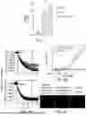 Fig. 07 - COMPOSITIONS AND METHODS FOR MODULATING CHOLESTEROL EFFLUX