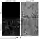 Fig. 08 - COMPOSITIONS AND METHODS FOR MODULATING CHOLESTEROL EFFLUX