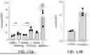 Fig. 10 - COMPOSITIONS AND METHODS FOR MODULATING CHOLESTEROL EFFLUX