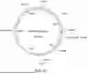 Fig. 11 - COMPOSITIONS AND METHODS FOR MODULATING CHOLESTEROL EFFLUX