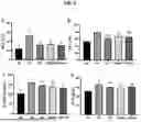 Fig. 07 - COMPOSITION FOR IMPROVING INTESTINAL HEALTH, OR PREVENTING, IMPROVING OR TREATING LEAKY GUT SYNDROME OR METABOLIC DISEASES CONTAINING PARSNIP EXTRACT AS AN ACTIVE INGREDIENT