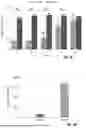 Fig. 19 - MEDICAL DEVICE WITH MULTI-LAYER COATING INCORPORATING CATIONIC STEROIDAL ANTIMICROBIALS