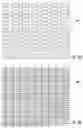 Fig. 09 - DUAL-LAYER GAS FILTERS AND SYSTEMS AND METHODS FOR MAKING THE SAME